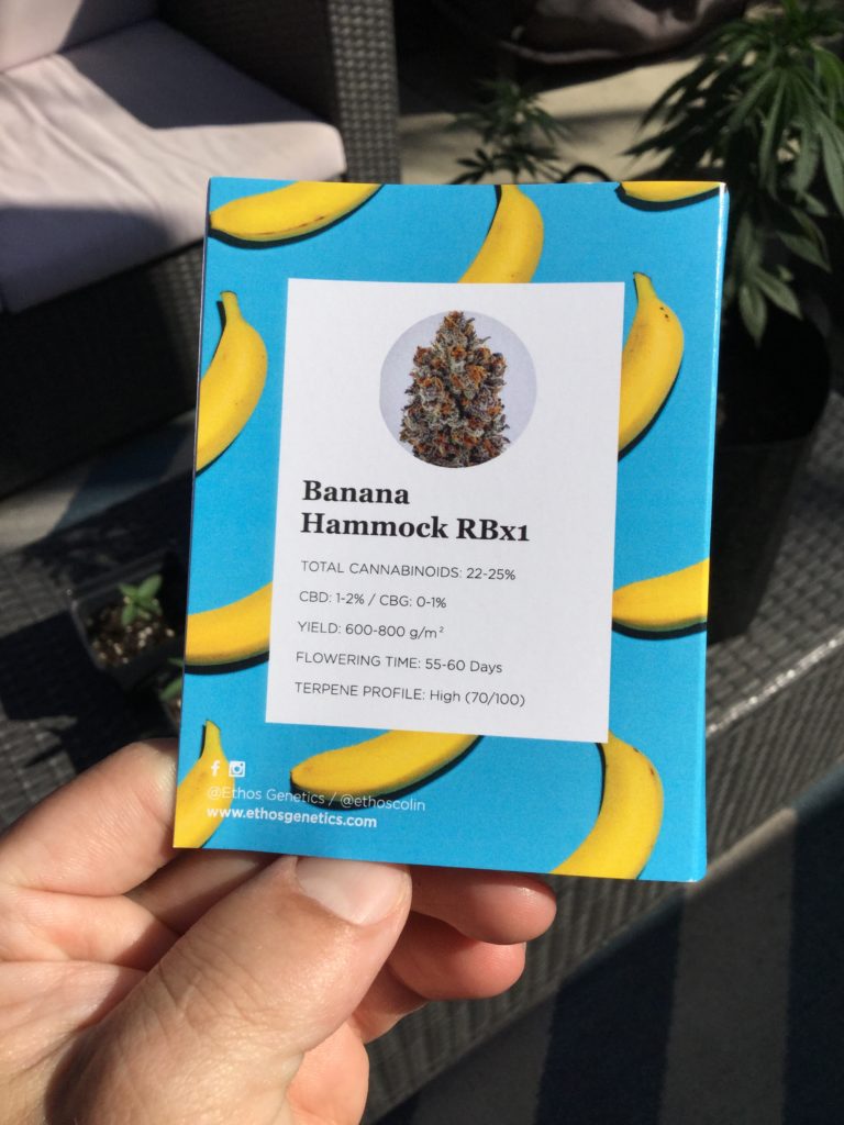 Banana Hammock Info