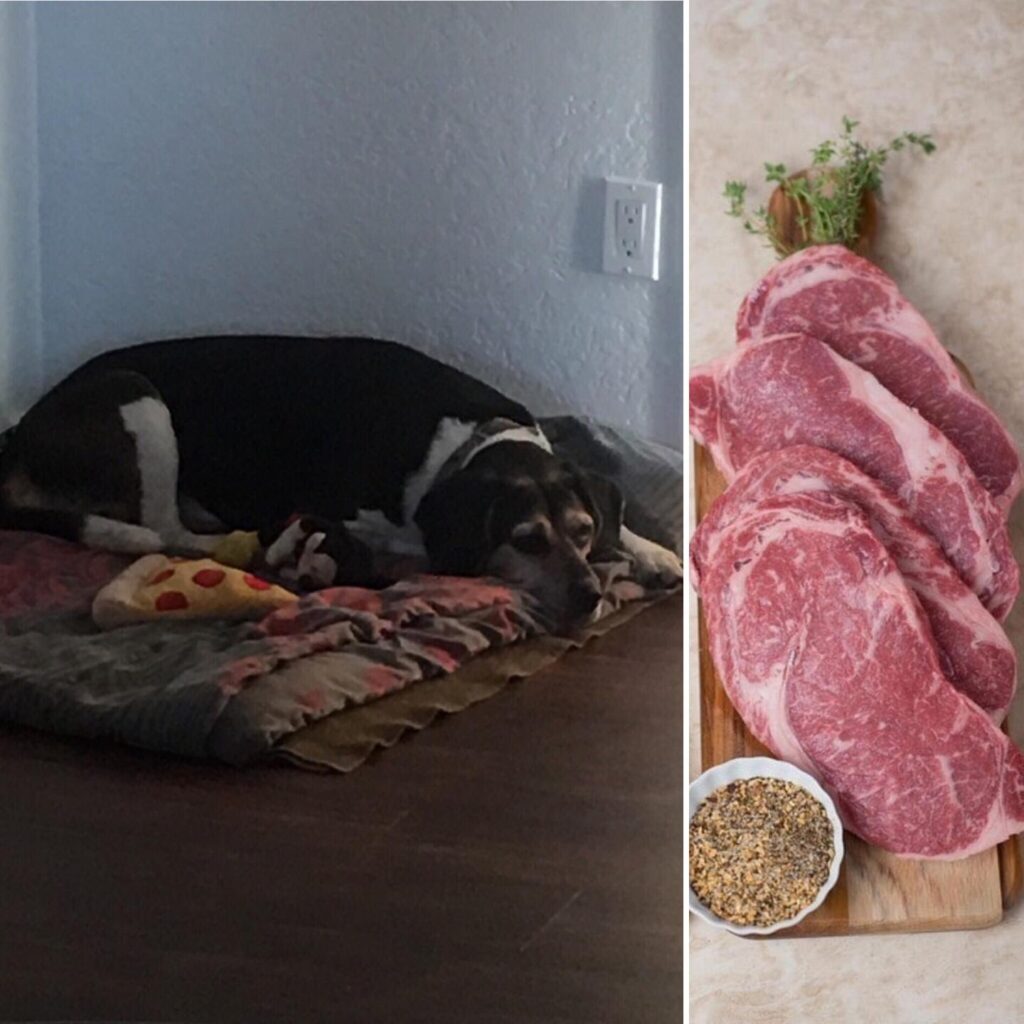 Dora Ribeye Food Coma