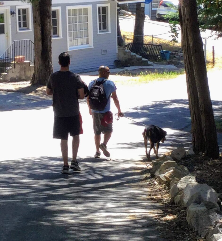 Z, Jax, Strev, and Dora returning from a hike in Big Bear